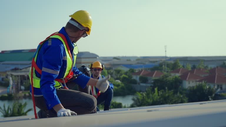 Best Sheet Metal Roofing  in Energy, IL