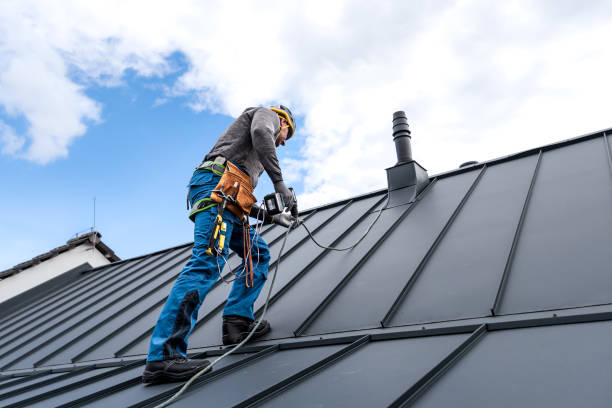 Best Roof Maintenance and Cleaning  in Energy, IL